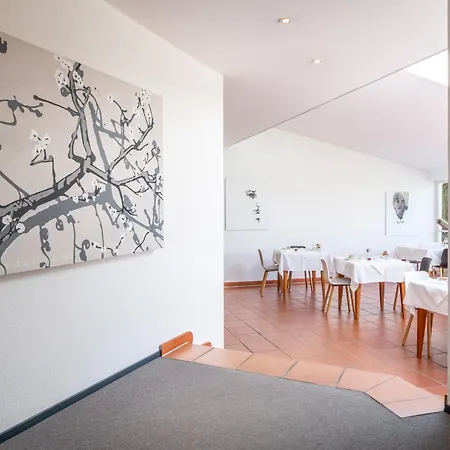 Fx Mayr Zentrum Bodensee فندق